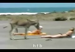 Die 18-jährige Japanerin wird kostenlose pornofilme hardcore auf dem Bett doggy gefickt